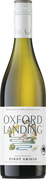 Regenerate Pinot Grigio
