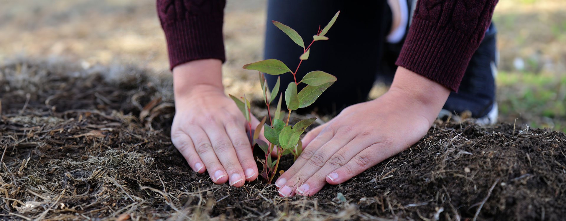 one to one is proud to partner with green fleet